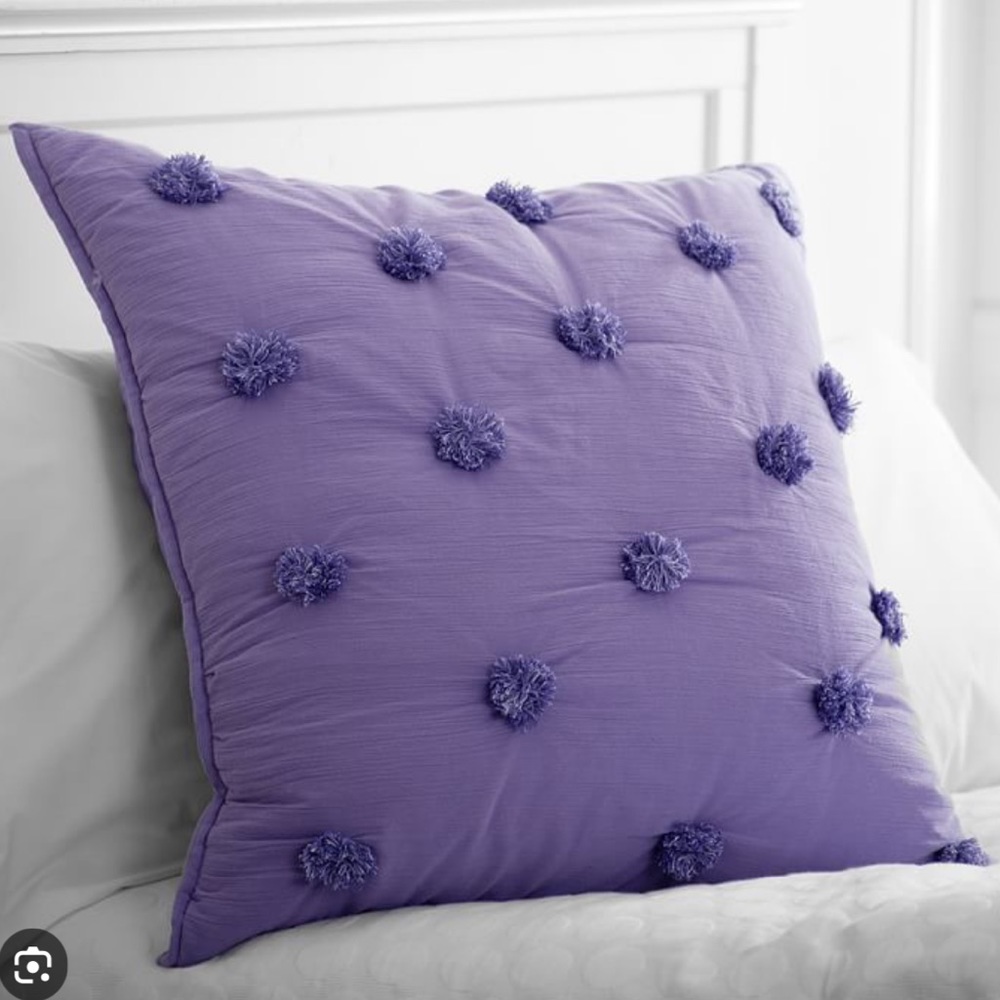 POTTERY BARN TEEN  QUILT 
CRINKLE PUFF EURO SHAM